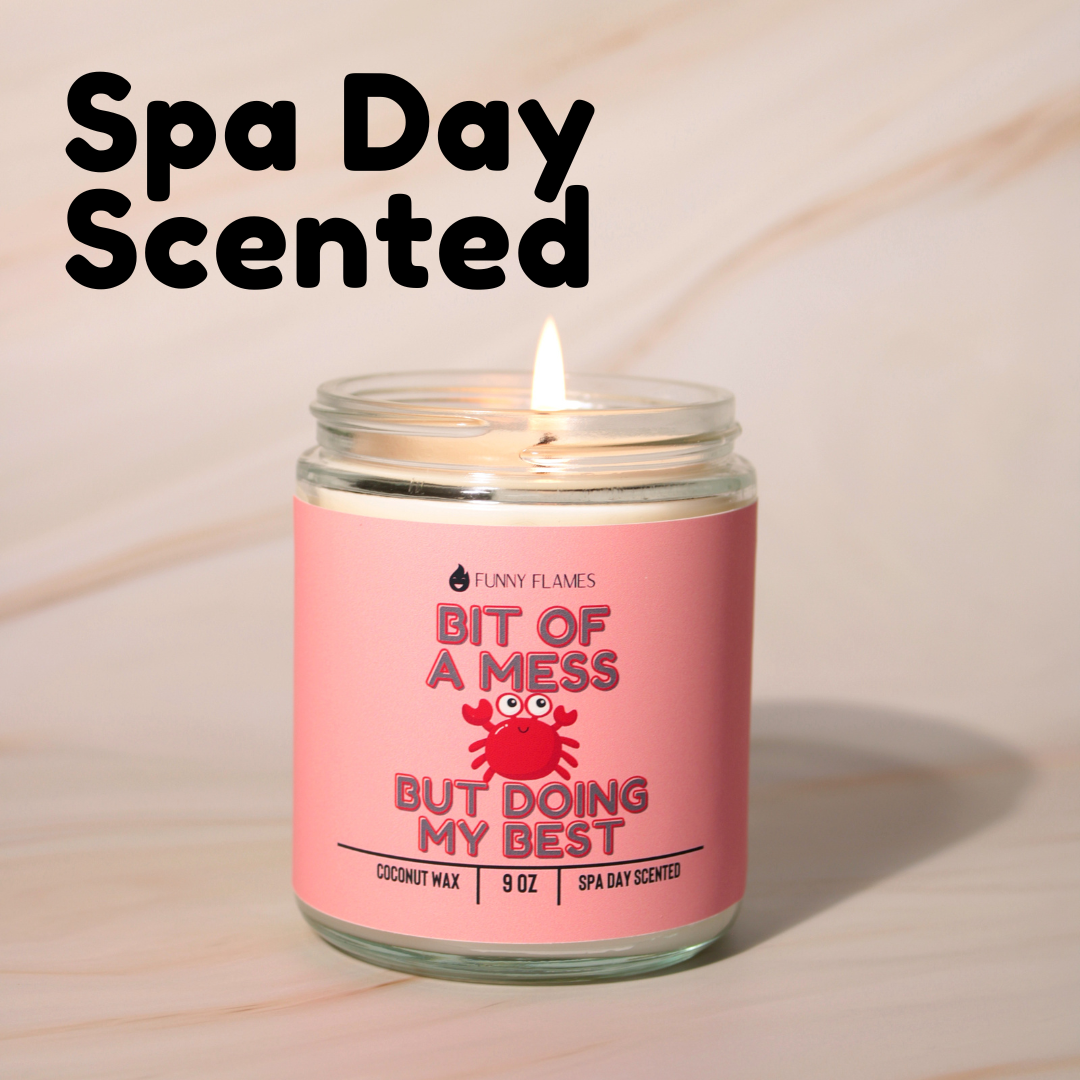 A Bit Of A Mess, But Doing My Best